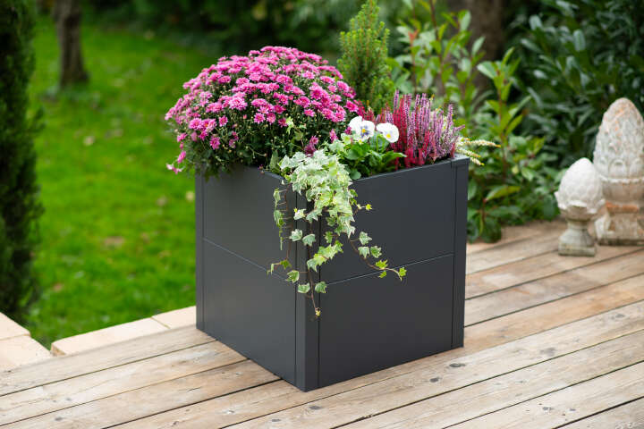 WESTMANN Pflanzkübel Talus